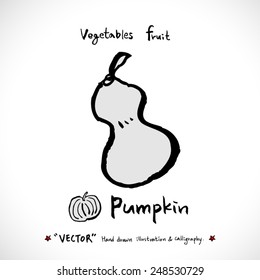 Vegetable and fruit illustrations / Hand drawn food ingredients - vector
