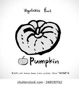 Vegetable and fruit illustrations / Hand drawn food ingredients - vector