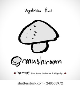 Vegetable and fruit illustrations / Hand drawn food ingredients - vector