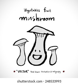 Vegetable and fruit illustrations / Hand drawn food ingredients - vector