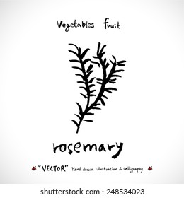 Vegetable and fruit illustrations / Hand drawn food ingredients - vector