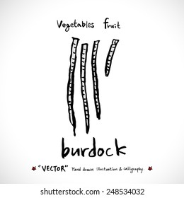 Vegetable and fruit illustrations / Hand drawn food ingredients - vector