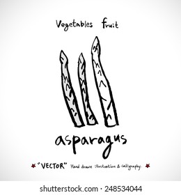 Vegetable and fruit illustrations / Hand drawn food ingredients - vector