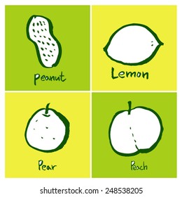 Vegetable and fruit illustrations / Hand drawn food ingredients - vector