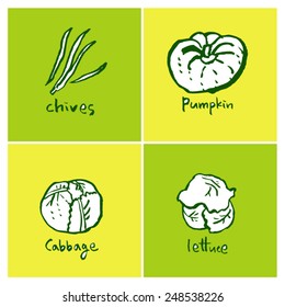 Vegetable and fruit illustrations / Hand drawn food ingredients - vector