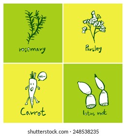 Vegetable and fruit illustrations / Hand drawn food ingredients - vector