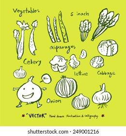 Vegetable and fruit illustrations / Hand drawn food ingredients - vector