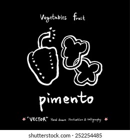 Vegetable and fruit illustrations / Hand drawn food ingredients - vector