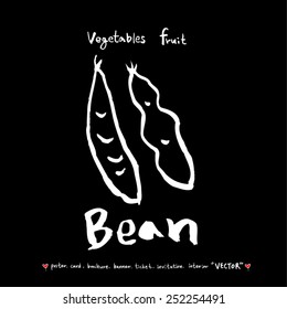 Vegetable and fruit illustrations / Hand drawn food ingredients - vector