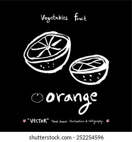 Vegetable and fruit illustrations / Hand drawn food ingredients - vector