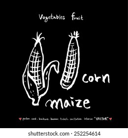 Vegetable and fruit illustrations / Hand drawn food ingredients - vector