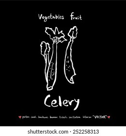 Vegetable and fruit illustrations / Hand drawn food ingredients - vector