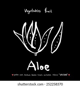 Vegetable and fruit illustrations / Hand drawn food ingredients - vector