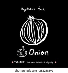 Vegetable and fruit illustrations / Hand drawn food ingredients - vector