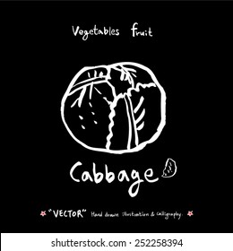 Vegetable and fruit illustrations / Hand drawn food ingredients - vector