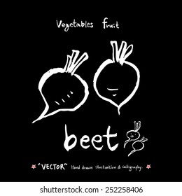 Vegetable and fruit illustrations / Hand drawn food ingredients - vector