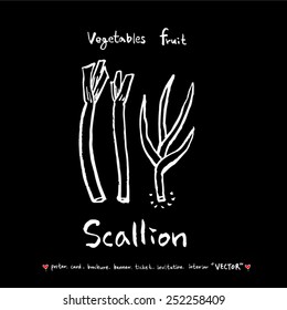 Vegetable and fruit illustrations / Hand drawn food ingredients - vector