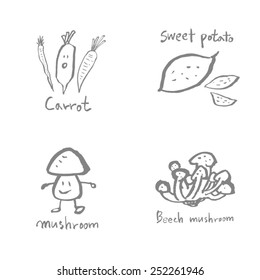Vegetable and fruit illustrations / Hand drawn food ingredients - vector