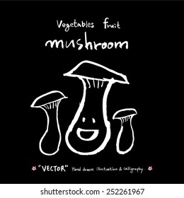 Vegetable and fruit illustrations / Hand drawn food ingredients - vector