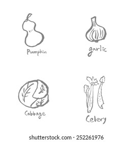 Vegetable and fruit illustrations / Hand drawn food ingredients - vector
