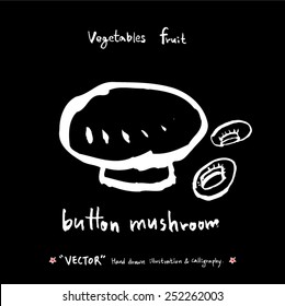 Vegetable and fruit illustrations / Hand drawn food ingredients - vector