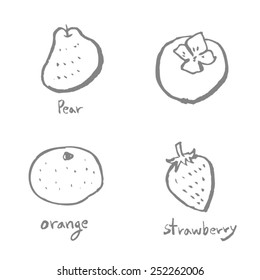 Vegetable and fruit illustrations / Hand drawn food ingredients - vector