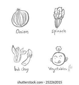 Vegetable and fruit illustrations / Hand drawn food ingredients - vector