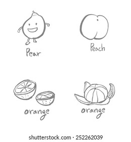 Vegetable and fruit illustrations / Hand drawn food ingredients - vector
