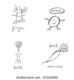 Vegetable and fruit illustrations / Hand drawn food ingredients - vector