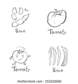 Vegetable and fruit illustrations / Hand drawn food ingredients - vector