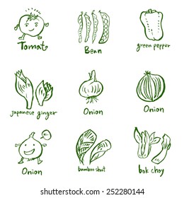 Vegetable and fruit illustrations / Hand drawn food ingredients - vector
