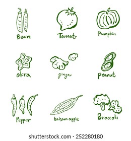 Vegetable and fruit illustrations / Hand drawn food ingredients - vector