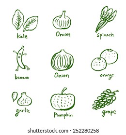 Vegetable and fruit illustrations / Hand drawn food ingredients - vector