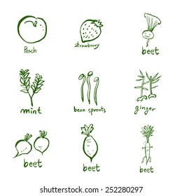 Vegetable and fruit illustrations / Hand drawn food ingredients - vector
