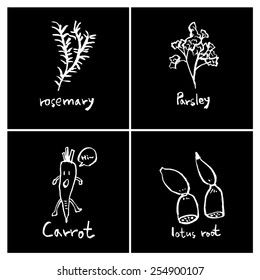 Vegetable and fruit illustrations / Hand drawn food ingredients - vector
