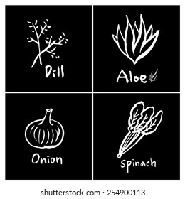 Vegetable and fruit illustrations / Hand drawn food ingredients - vector
