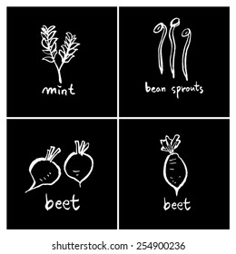 Vegetable and fruit illustrations / Hand drawn food ingredients - vector