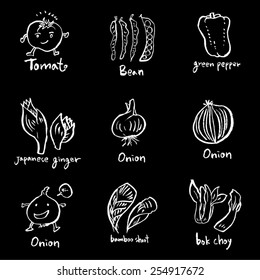 Vegetable and fruit illustrations / Hand drawn food ingredients - vector