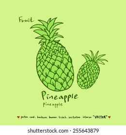 Vegetable and fruit illustrations / Hand drawn food ingredients - vector