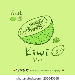 Vegetable and fruit illustrations / Hand drawn food ingredients - vector