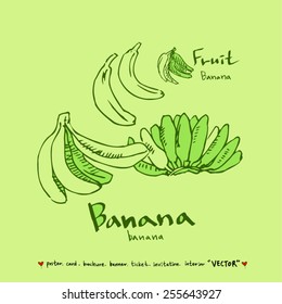 Vegetable and fruit illustrations / Hand drawn food ingredients - vector