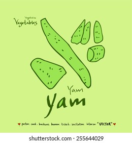Vegetable and fruit illustrations / Hand drawn food ingredients - vector