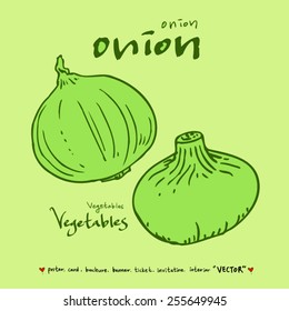 Vegetable and fruit illustrations / Hand drawn food ingredients - vector