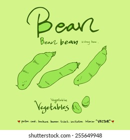 Vegetable and fruit illustrations / Hand drawn food ingredients - vector