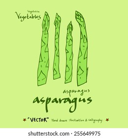 Vegetable and fruit illustrations / Hand drawn food ingredients - vector