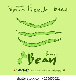 Vegetable and fruit illustrations / Hand drawn food ingredients - vector