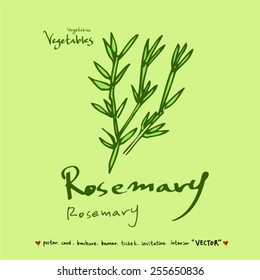 Vegetable and fruit illustrations / Hand drawn food ingredients - vector