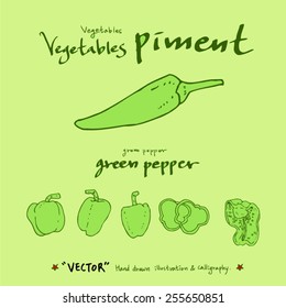 Vegetable and fruit illustrations / Hand drawn food ingredients - vector