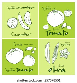 Vegetable and fruit illustrations / Hand drawn food ingredients - vector