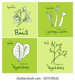 Vegetable and fruit illustrations / Hand drawn food ingredients - vector